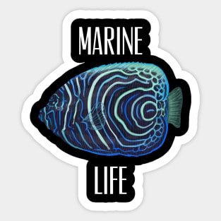 Marine life Sticker